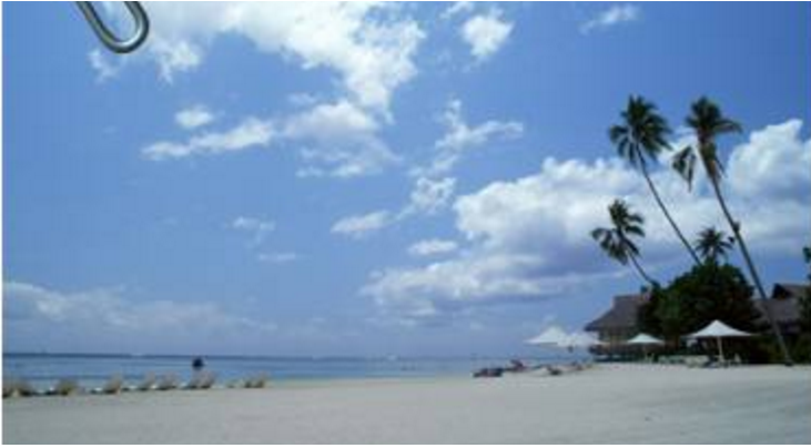 新聞(wen)資訊(xun)